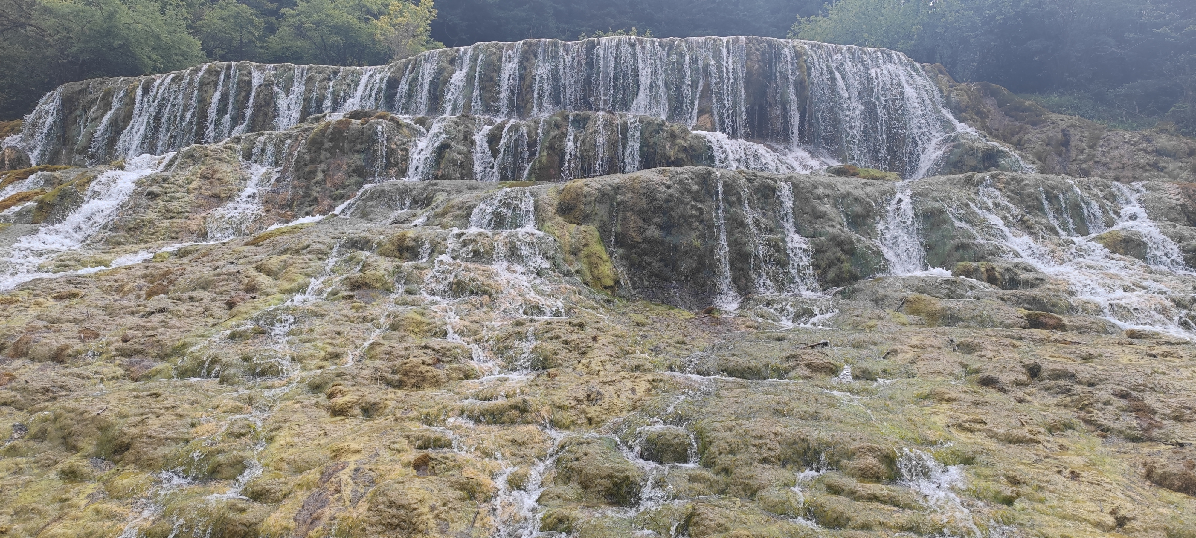 渌华池我来了(黄龙国家级名胜风景区)