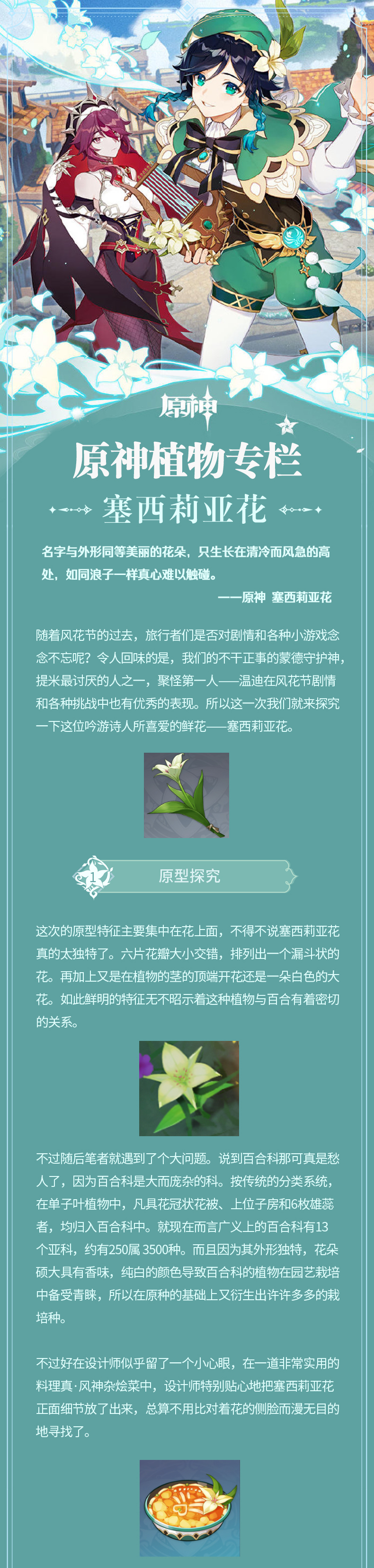 【原神杂谈】原神植物专栏——塞西莉亚花篇