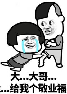大佬带带我 表情包分享展示