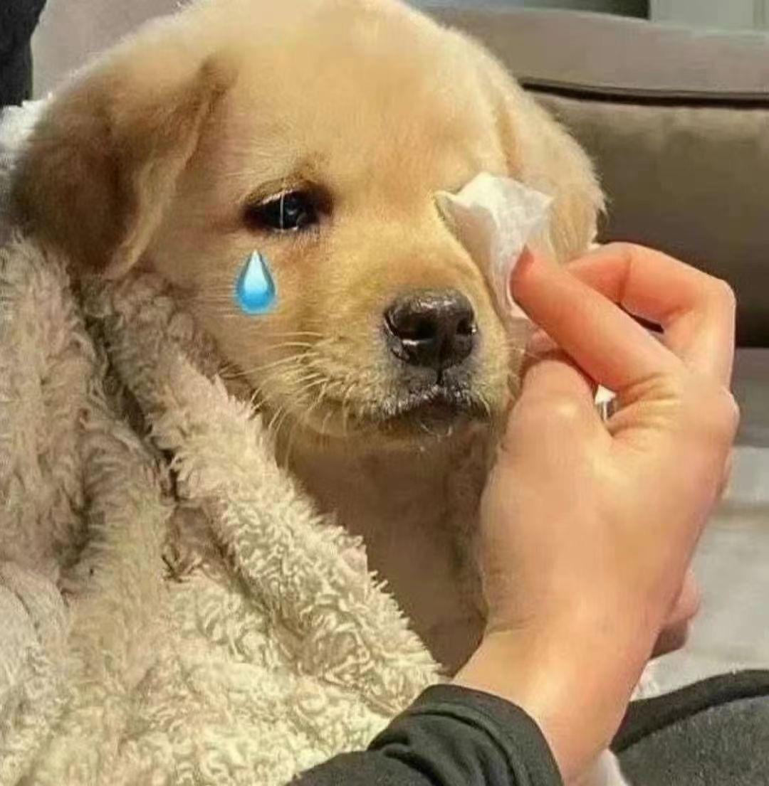 点击观看主包为宝石社死解说新地图珍贵影像😰