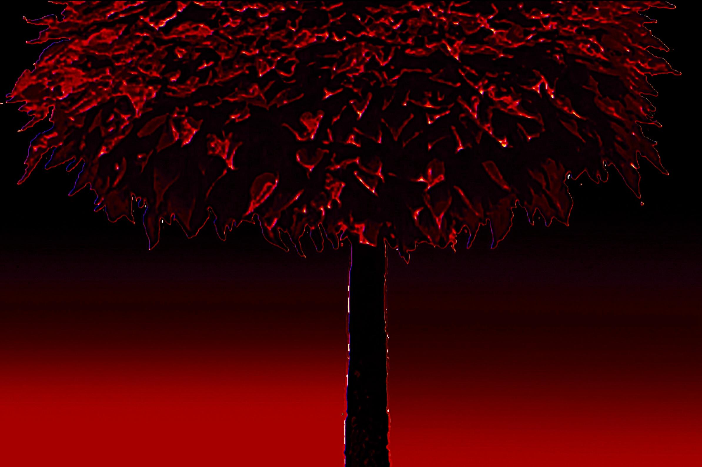 转化世界-表猩红-EP-4