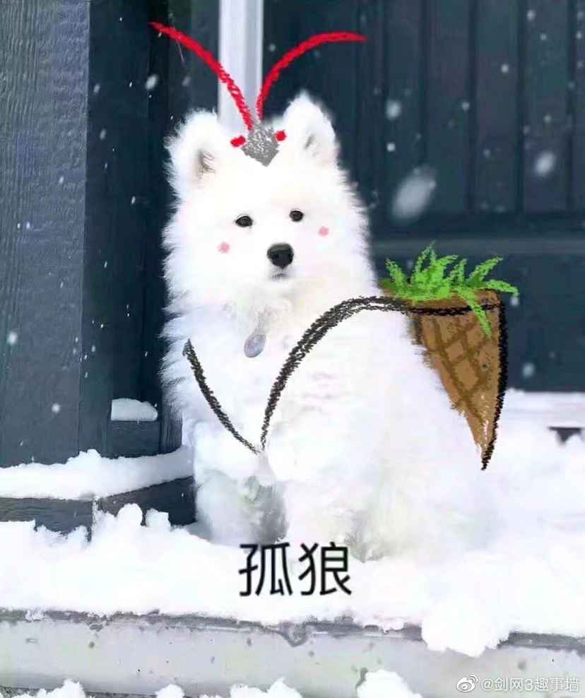 打卡,今天也是敲完期待的一天_(:з」∠)_