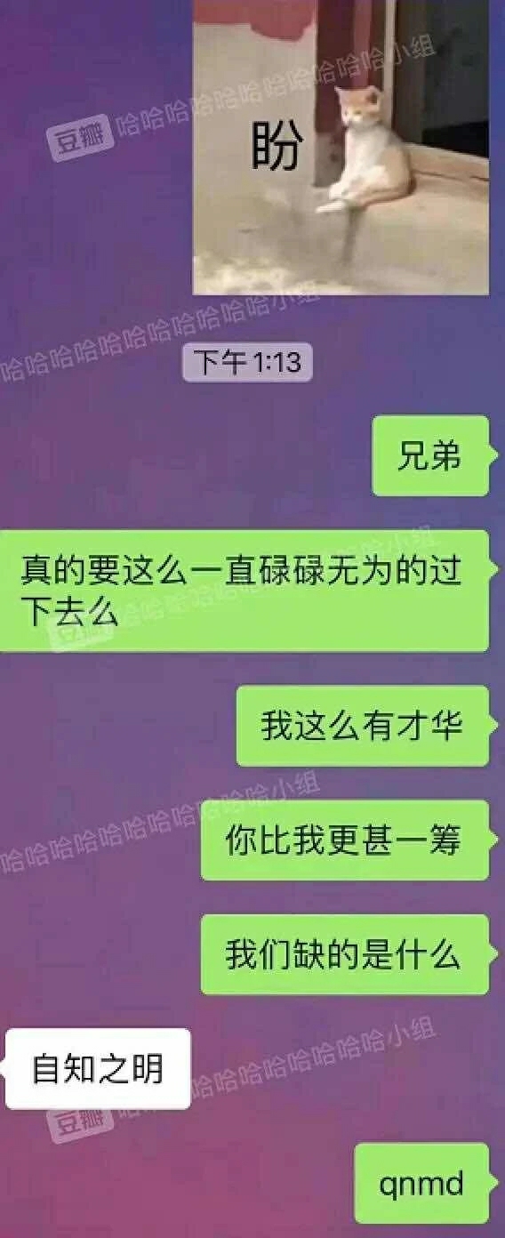 来点沙雕图【79】|来自星尘 - 第5张
