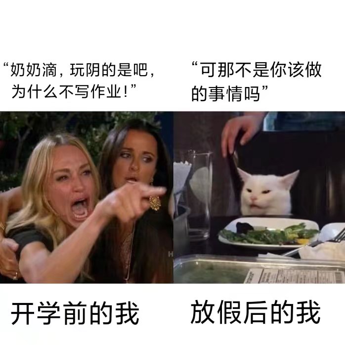 今日memes圖來啦（27）|泰拉瑞亞 - 第4張