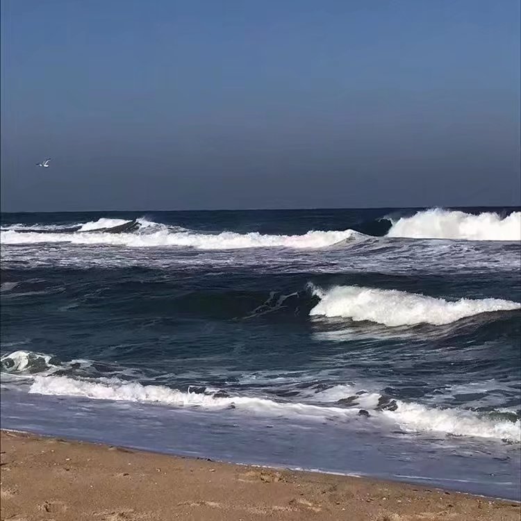 来看海，让海浪冲走夏日的烦恼|泰拉瑞亚 - 第13张