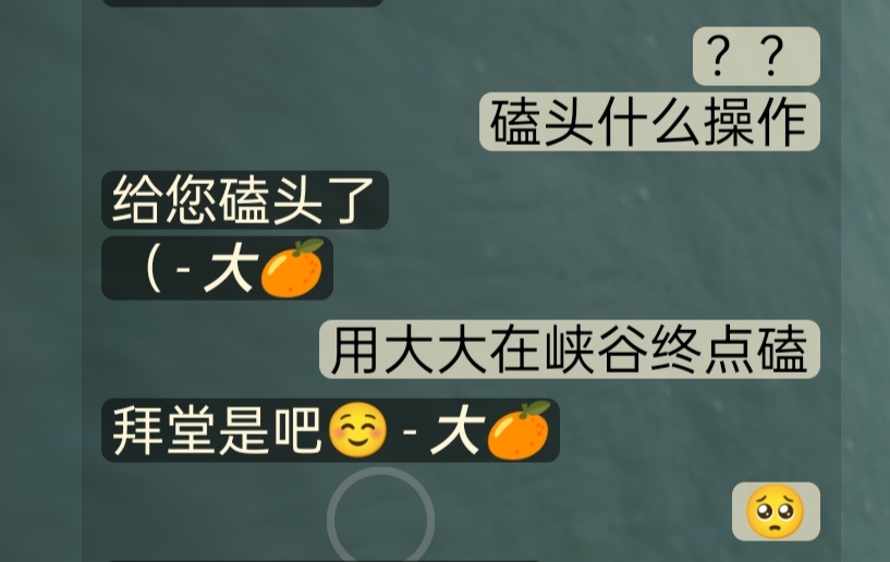 和姐姐拜堂了|光·遇 - 第2张