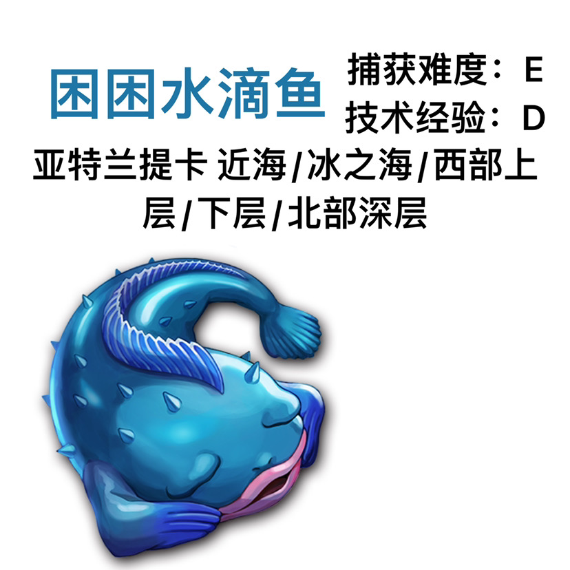 【最強釣魚佬】釣魚圖鑑：原來你竟然是這樣的魚！（內含叉魚位置，等級及魚性格）（施工中6/36）|另一個伊甸 : 超越時空的貓 - 第12張