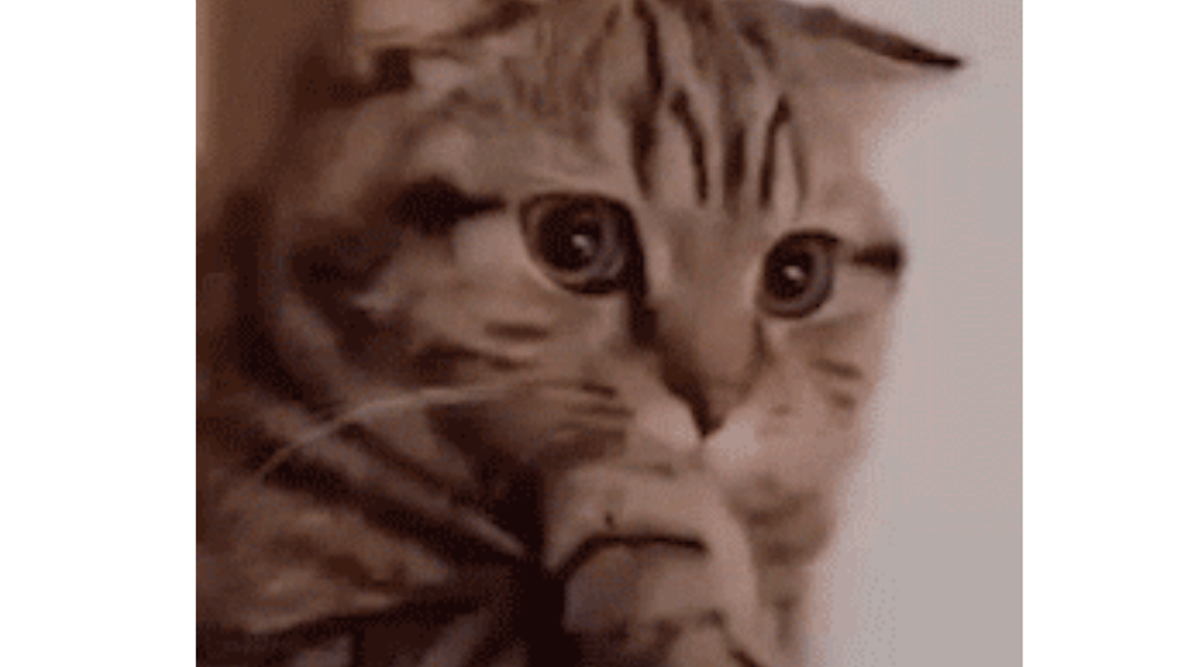 中枢&夕阳沙漠—部分任务坐标攻略