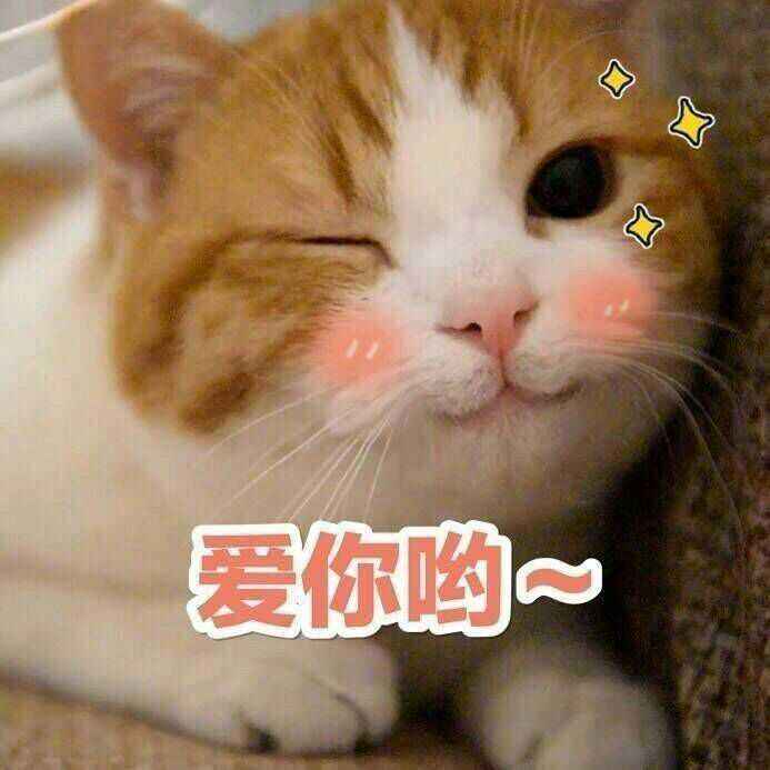 几个你必须知道的小技巧 ( 0.1)|奥比岛:梦想国度 - 第12张