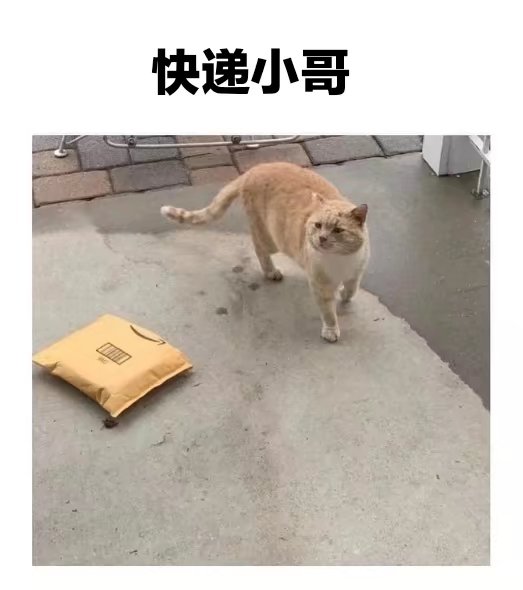 被迫营业的猫猫|泰拉瑞亚 - 第4张