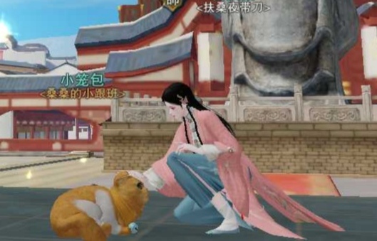 【我与我的宠物情缘】|魂 - 第2张