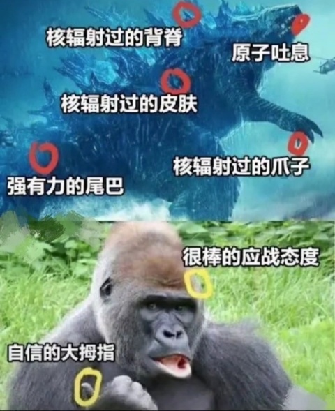 来点沙雕图【88】|来自星尘 - 第25张