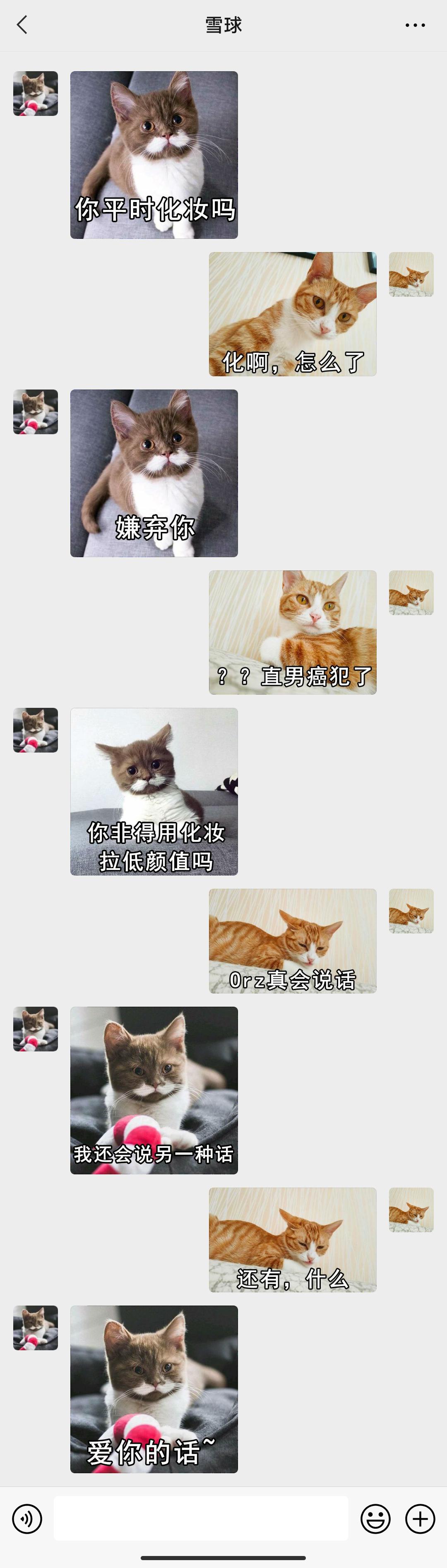 表情包专栏 男朋友说化妆拉低颜值了 小猫爱消除综合 Taptap 小猫爱消除社区