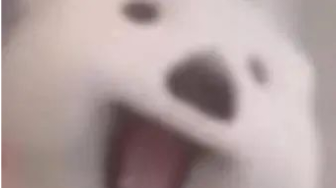 甜梦の没什么用的菜谱分享