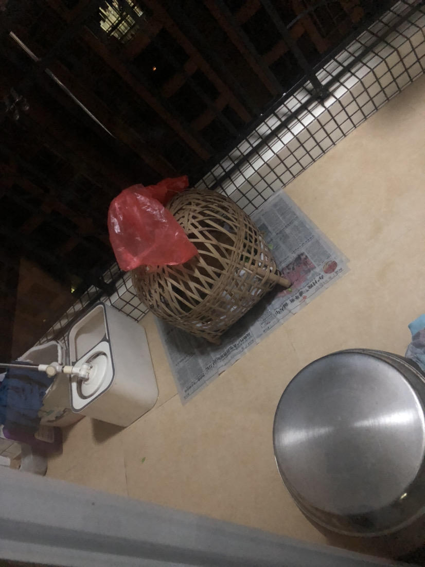 康帕斯准备复活的第三百零九天