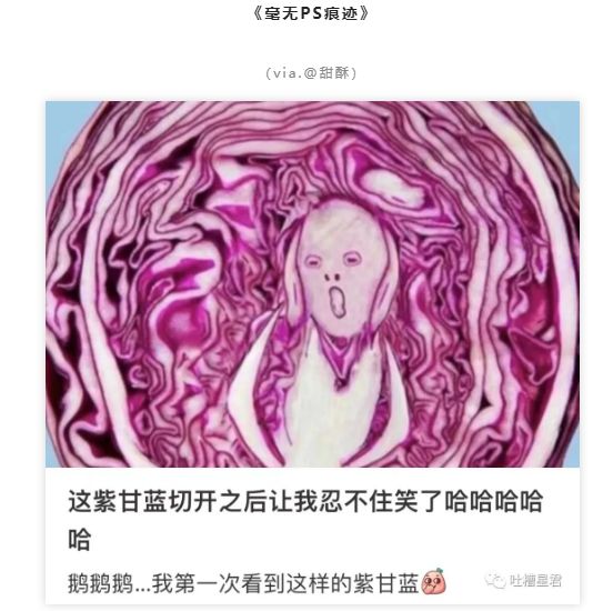 今日🌿图（160）|明日方舟 - 第5张