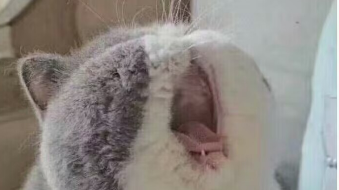 刷鉴定玄学（已刷出一套-10cd暗，-8cd冰的暗域套）