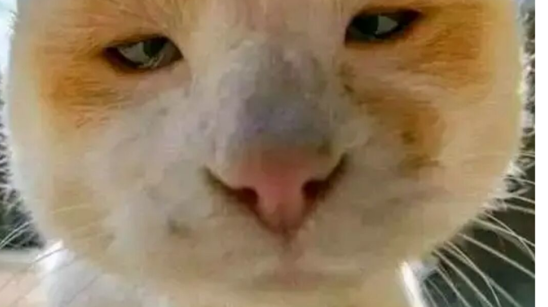 关于回归低练玩家在双倍远征的成果总结