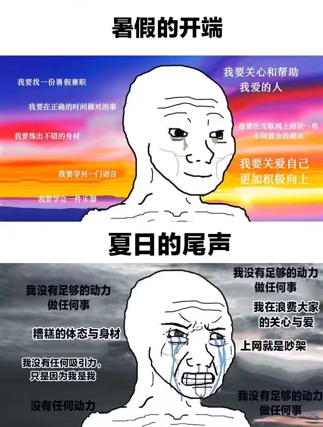 今日memes（43）|泰拉瑞亚 - 第13张