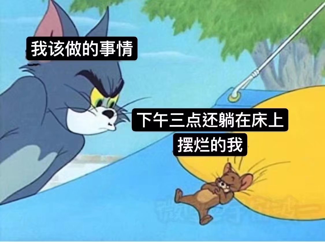 今日memes图来啦（26）|泰拉瑞亚 - 第14张