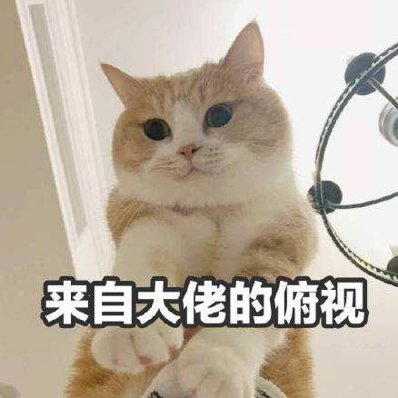 #狼人夜话#你在狼人杀里达到的最高段位是？