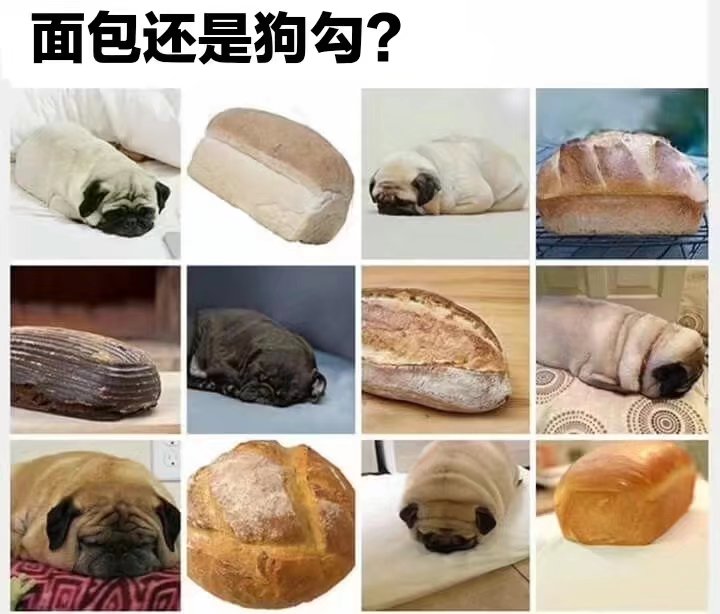 動物料理，真香（真可愛）|泰拉瑞亞 - 第20張