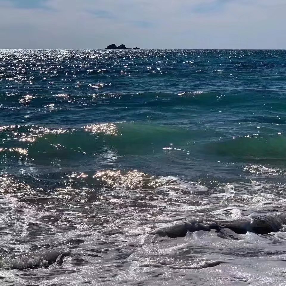 來看海，讓海浪衝走夏日的煩惱|泰拉瑞亞 - 第11張