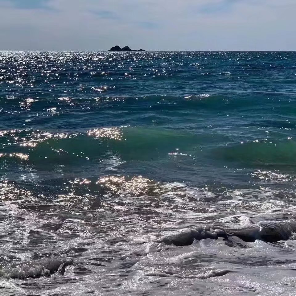 来看海，让海浪冲走夏日的烦恼|泰拉瑞亚 - 第11张