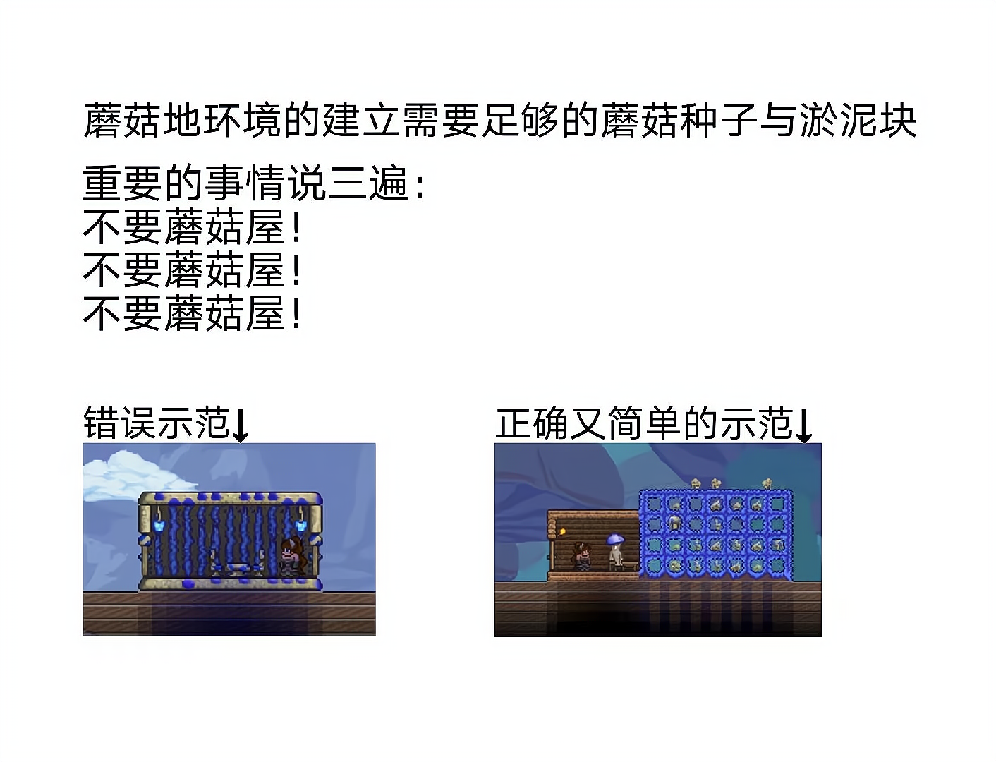 萌新向快速攻略|泰拉瑞亞 - 第18張