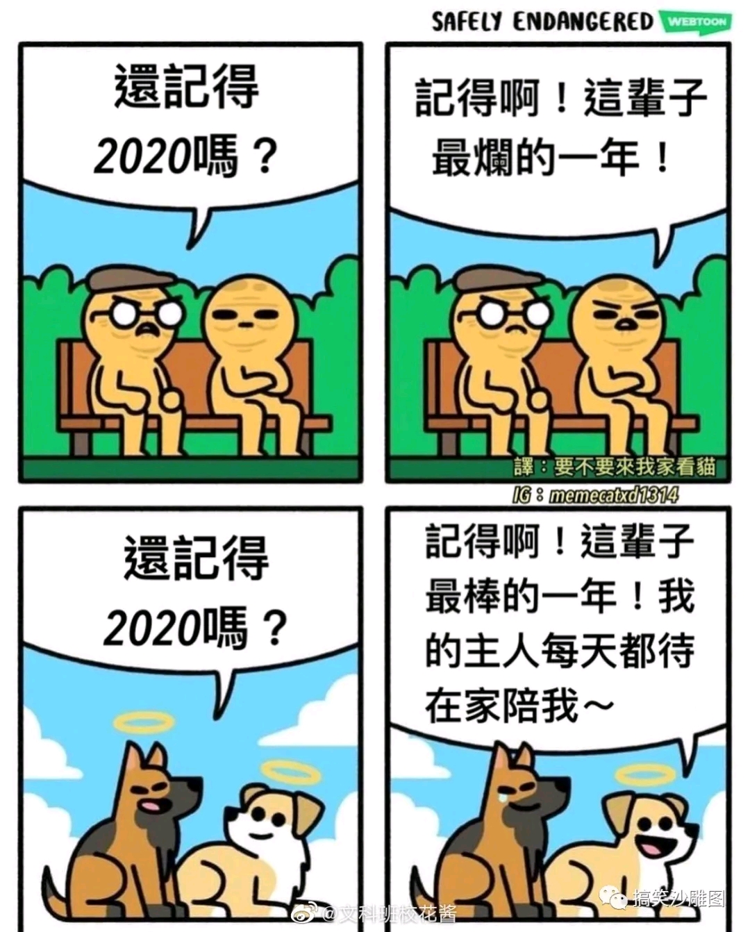 来点沙雕图【76】|来自星尘 - 第7张