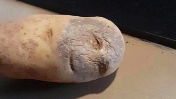 发现个流派，可以让瞬身摆脱机关喷口的阴影。就是把猛虎放三号位