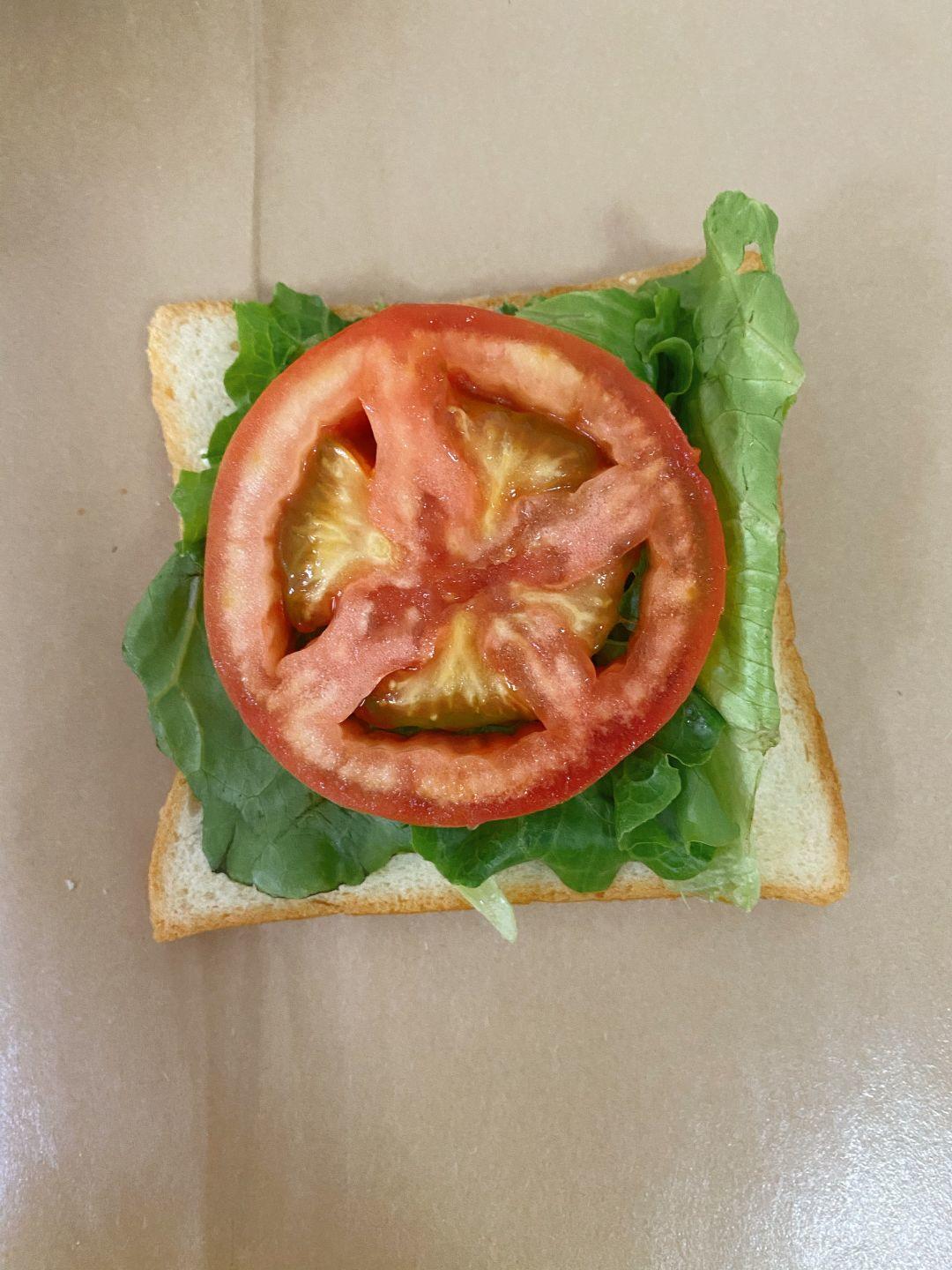 菲奈的手工三明治