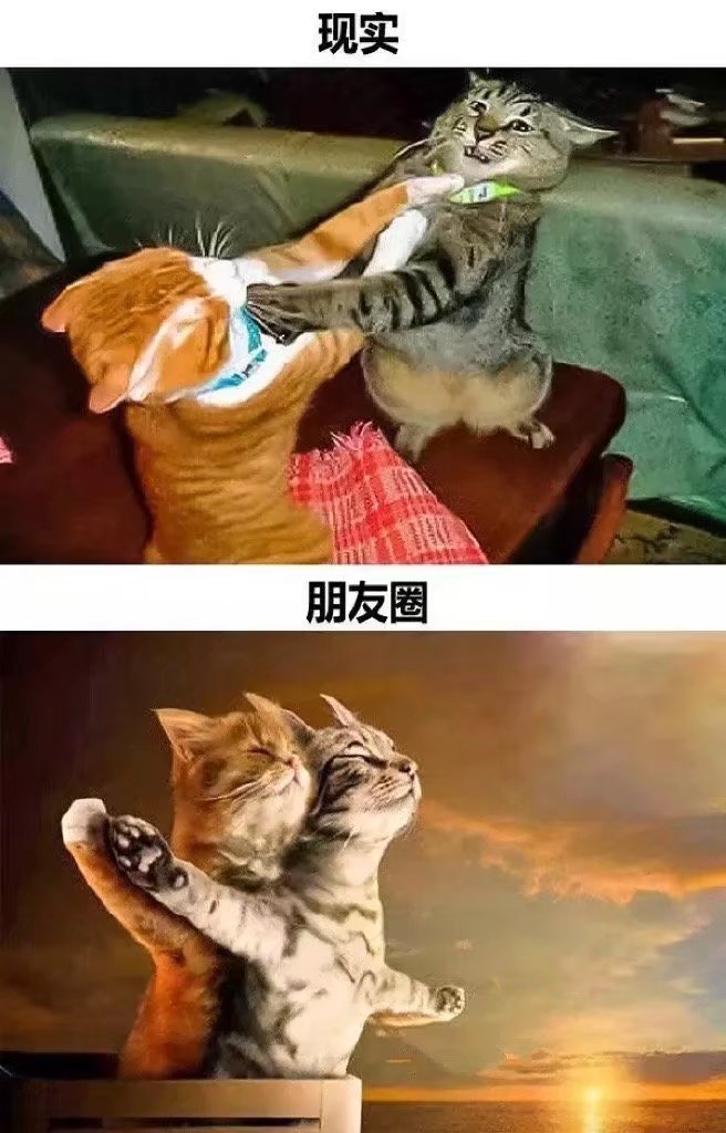 今日memes（43）|泰拉瑞亚 - 第12张