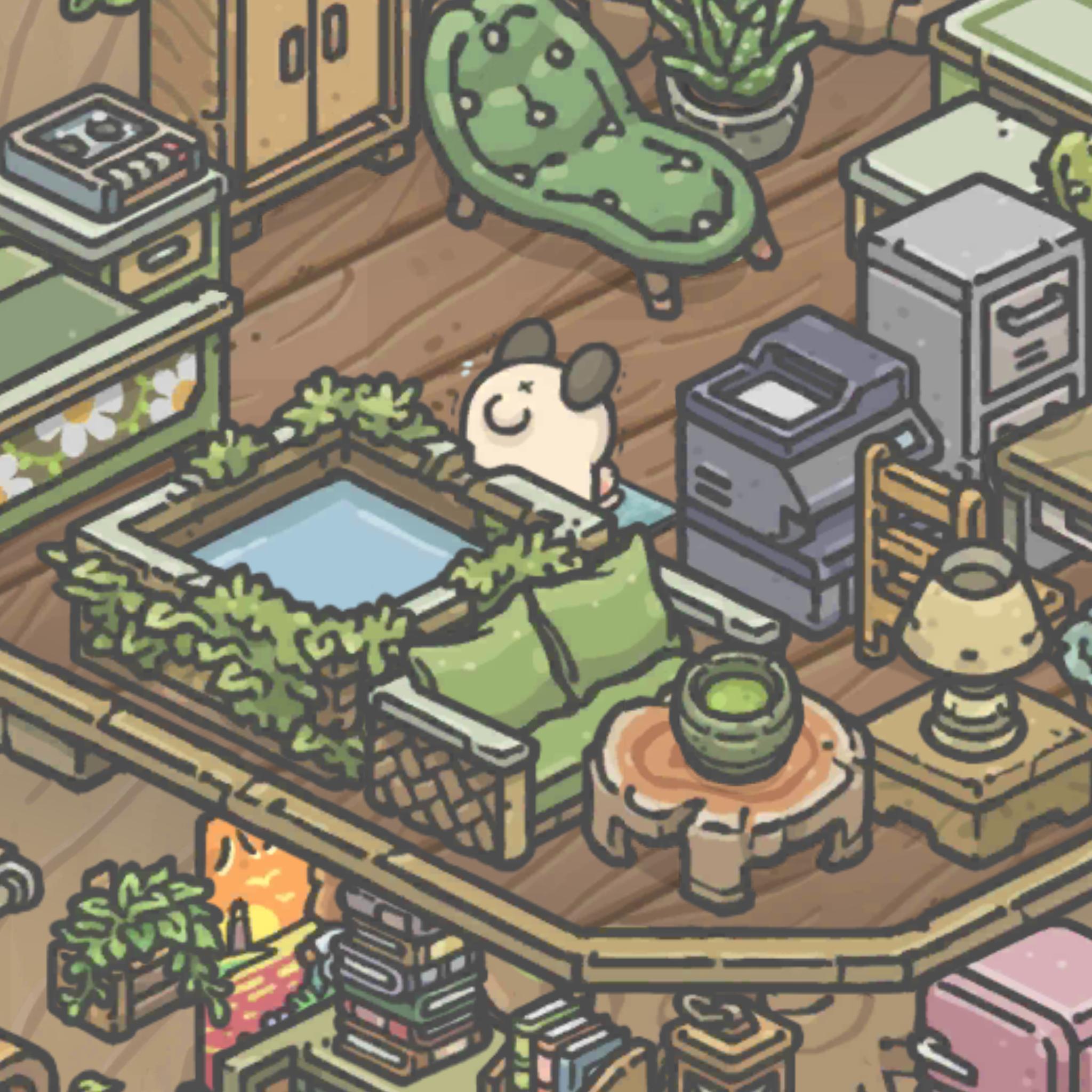 记录贴，记录兔兔的日常