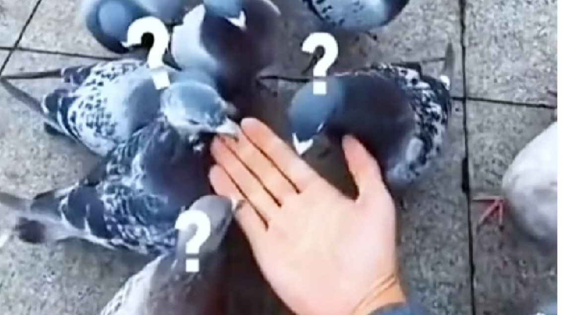 【末日法】【中等练度】首领元素秘境120层竞速思路•简洁版