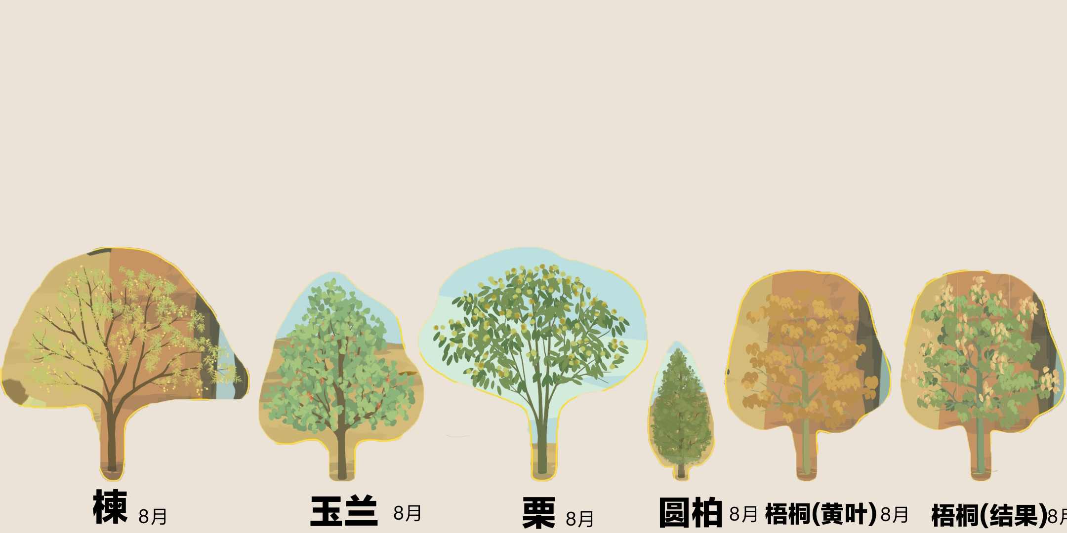 合作树的一年四季图鉴|老农种树 - 第4张