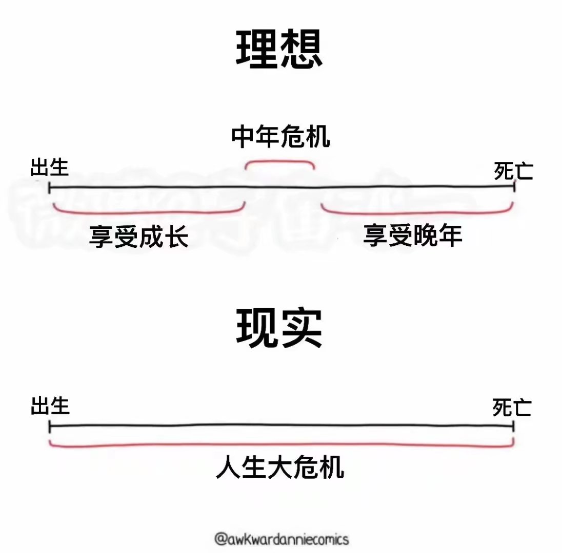 今日乐图（13）|泰拉瑞亚 - 第11张