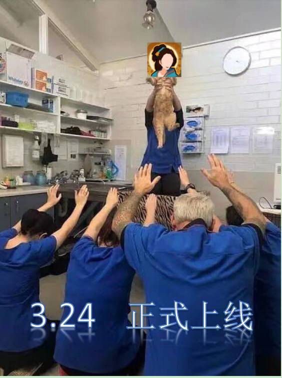 无悔华夏梗图meme（二）