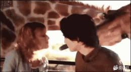 今日🌿图（166）|明日方舟 - 第7张