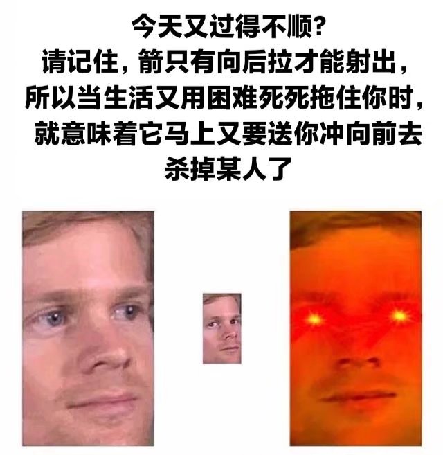 今日memes來啦（21）|泰拉瑞亞 - 第13張