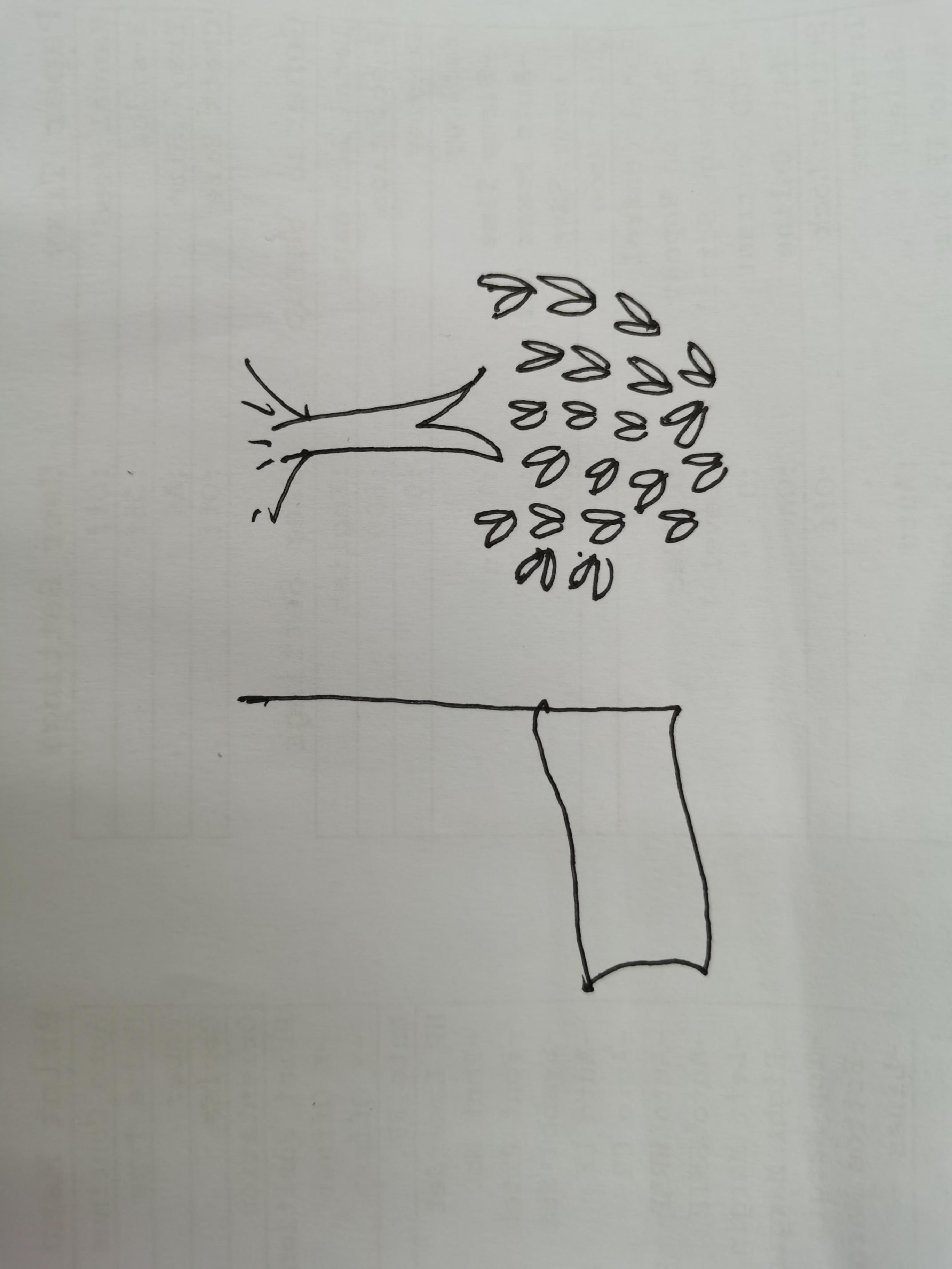 【你画我猜】无支祁