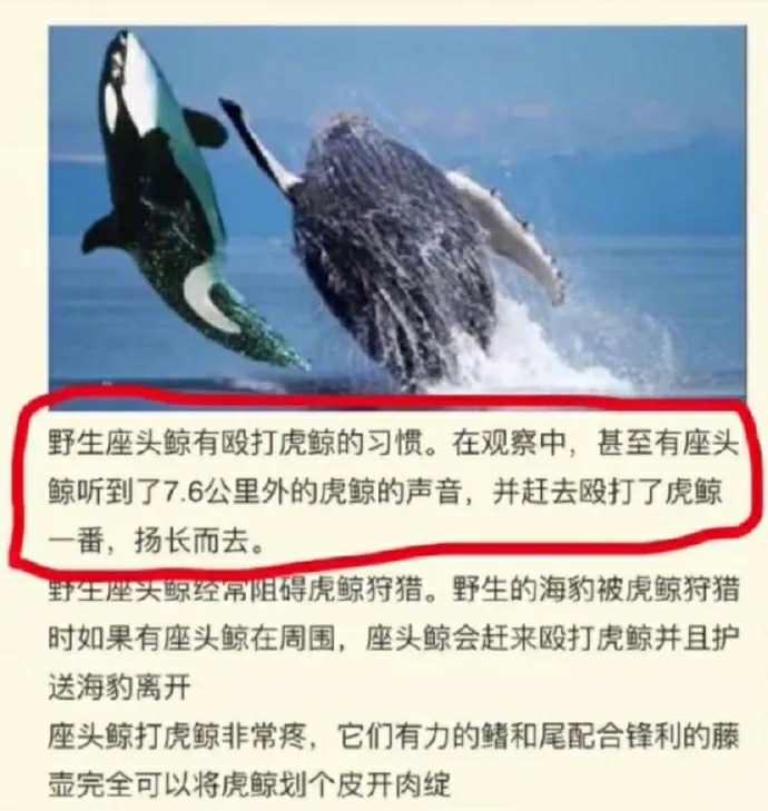 来点沙雕图【76】|来自星尘 - 第23张