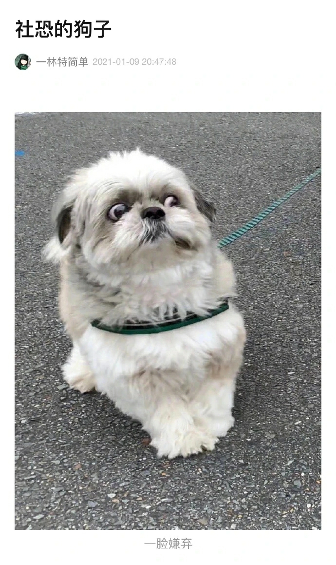 来点沙雕图【79】|来自星尘 - 第3张