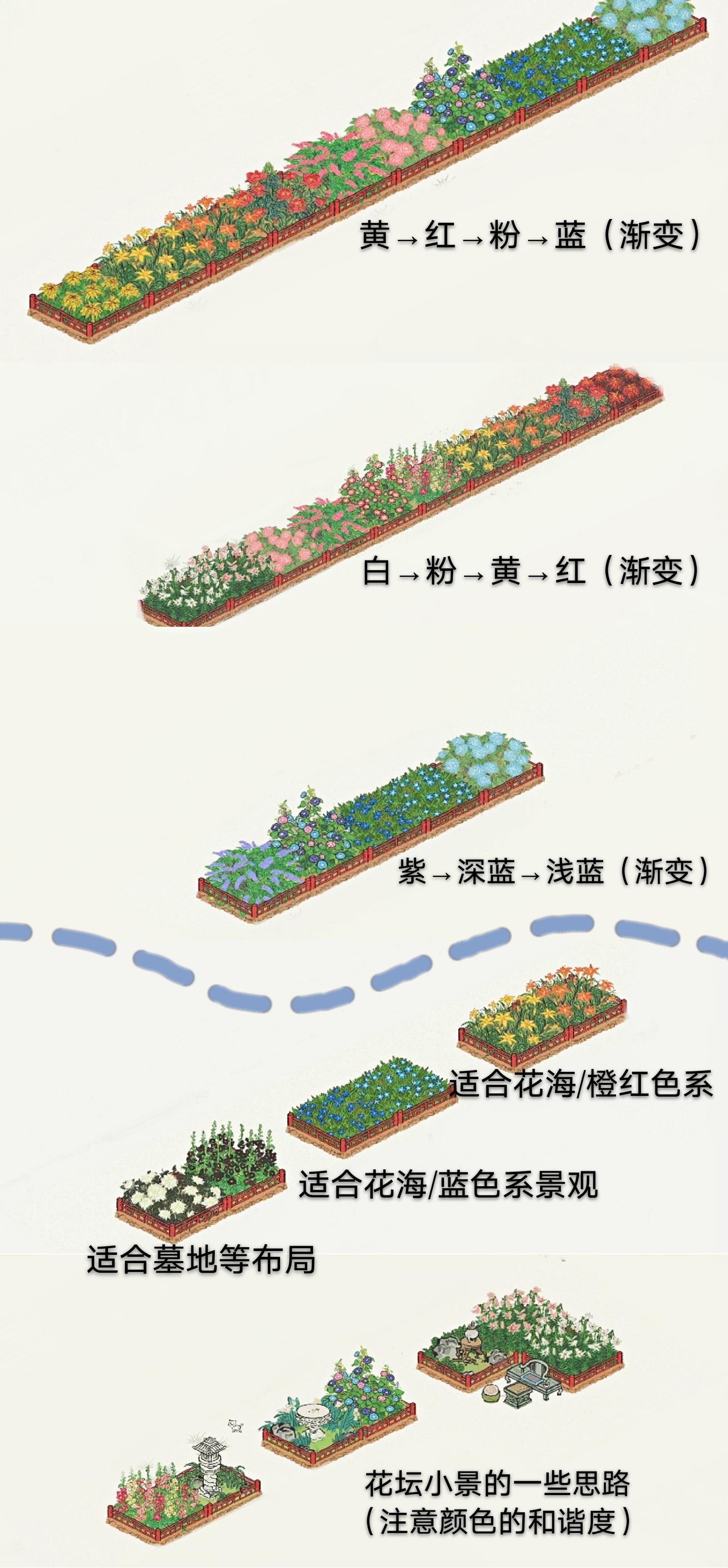 花坛布局思路分享