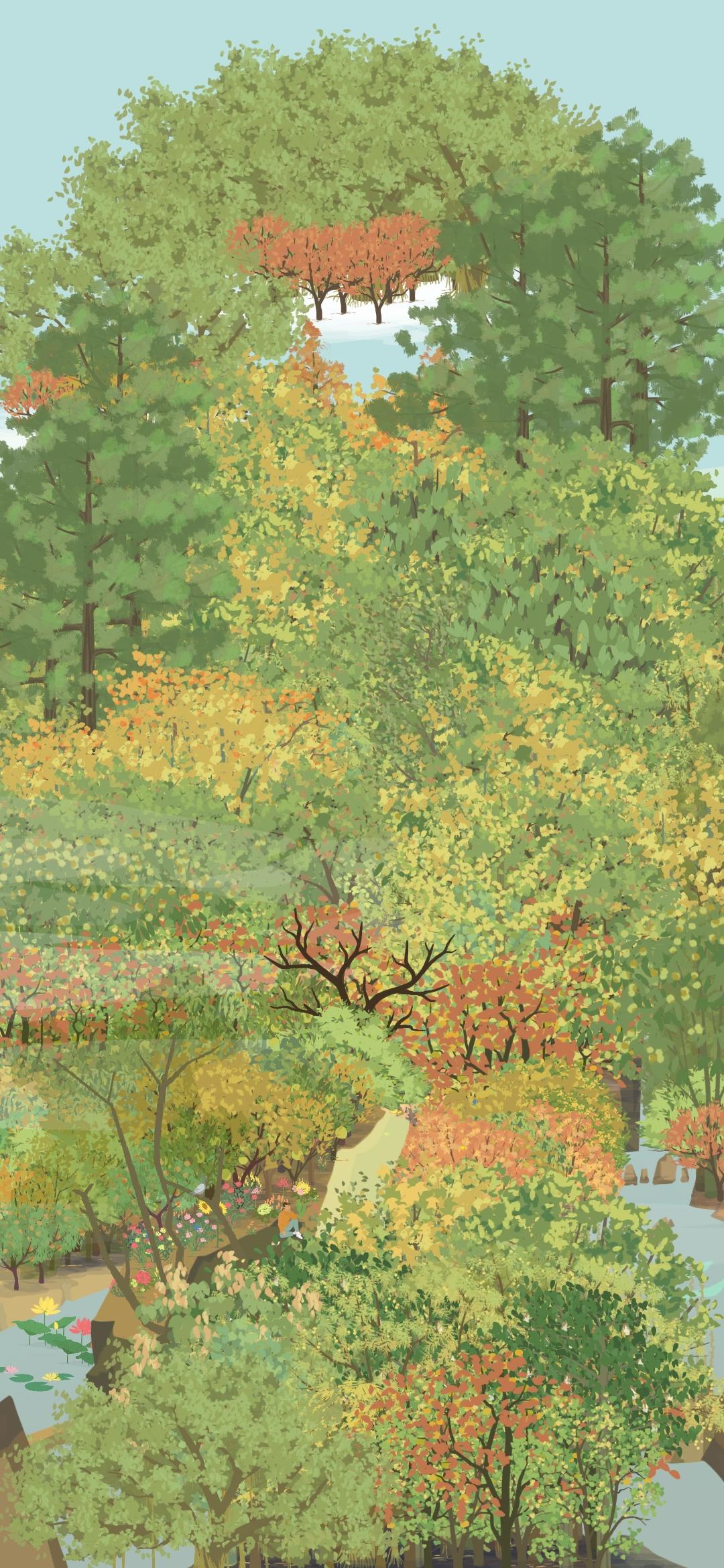 小顾的山头养成