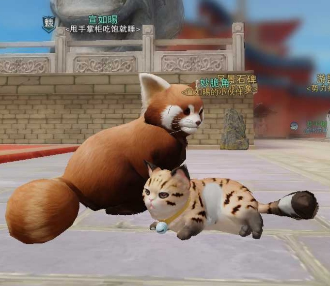 【我与我的宠物情缘】|魂