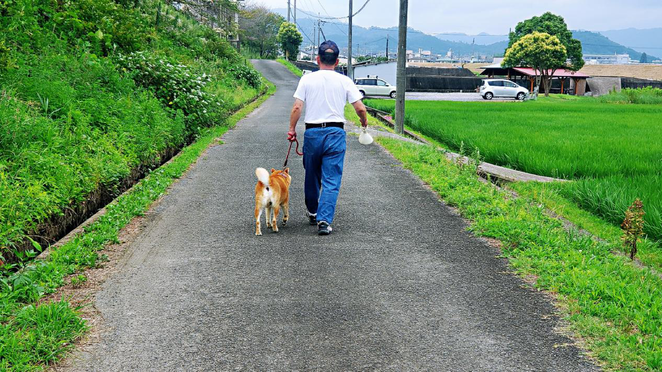 红人馆第6期：首位男主角入驻，莽叔来也|和平精英 - 第12张