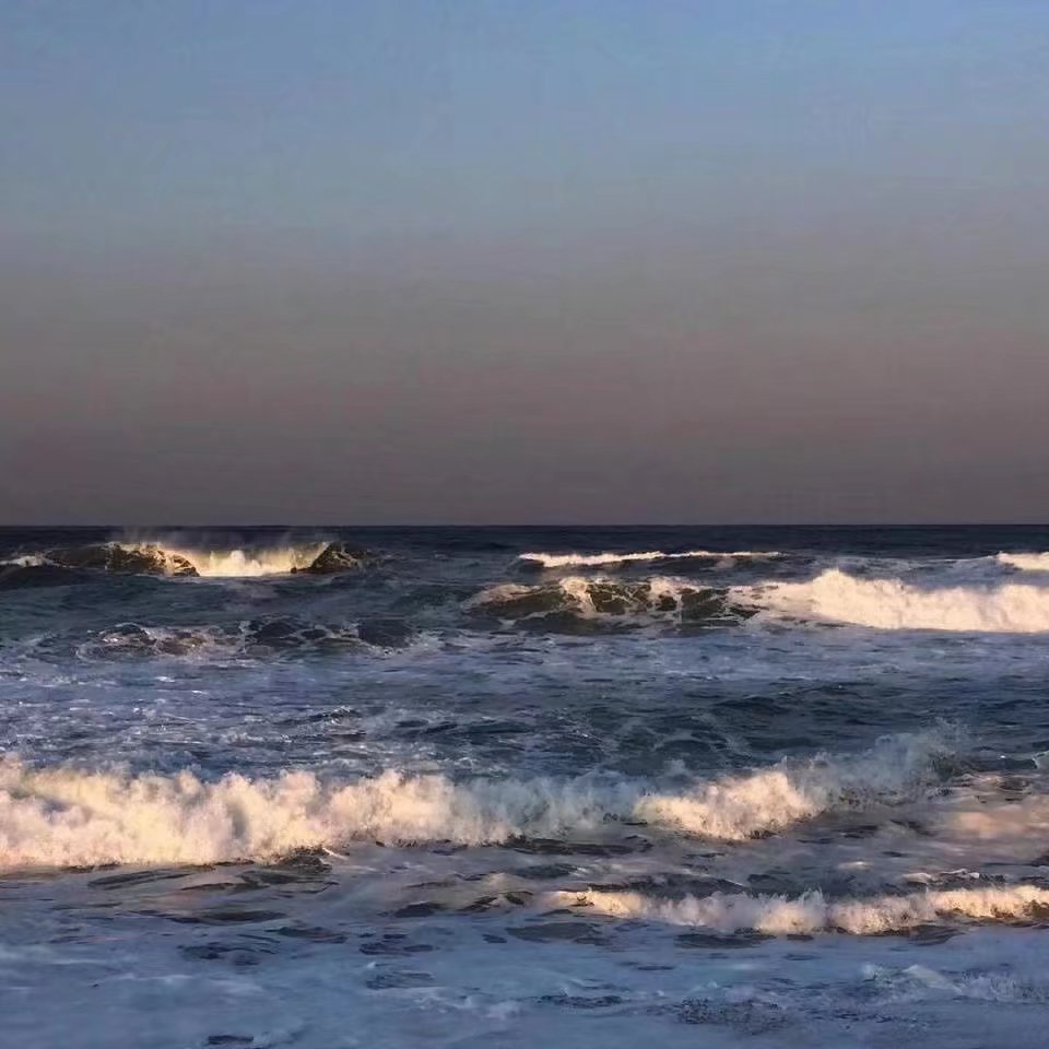 來看海，讓海浪衝走夏日的煩惱|泰拉瑞亞 - 第14張
