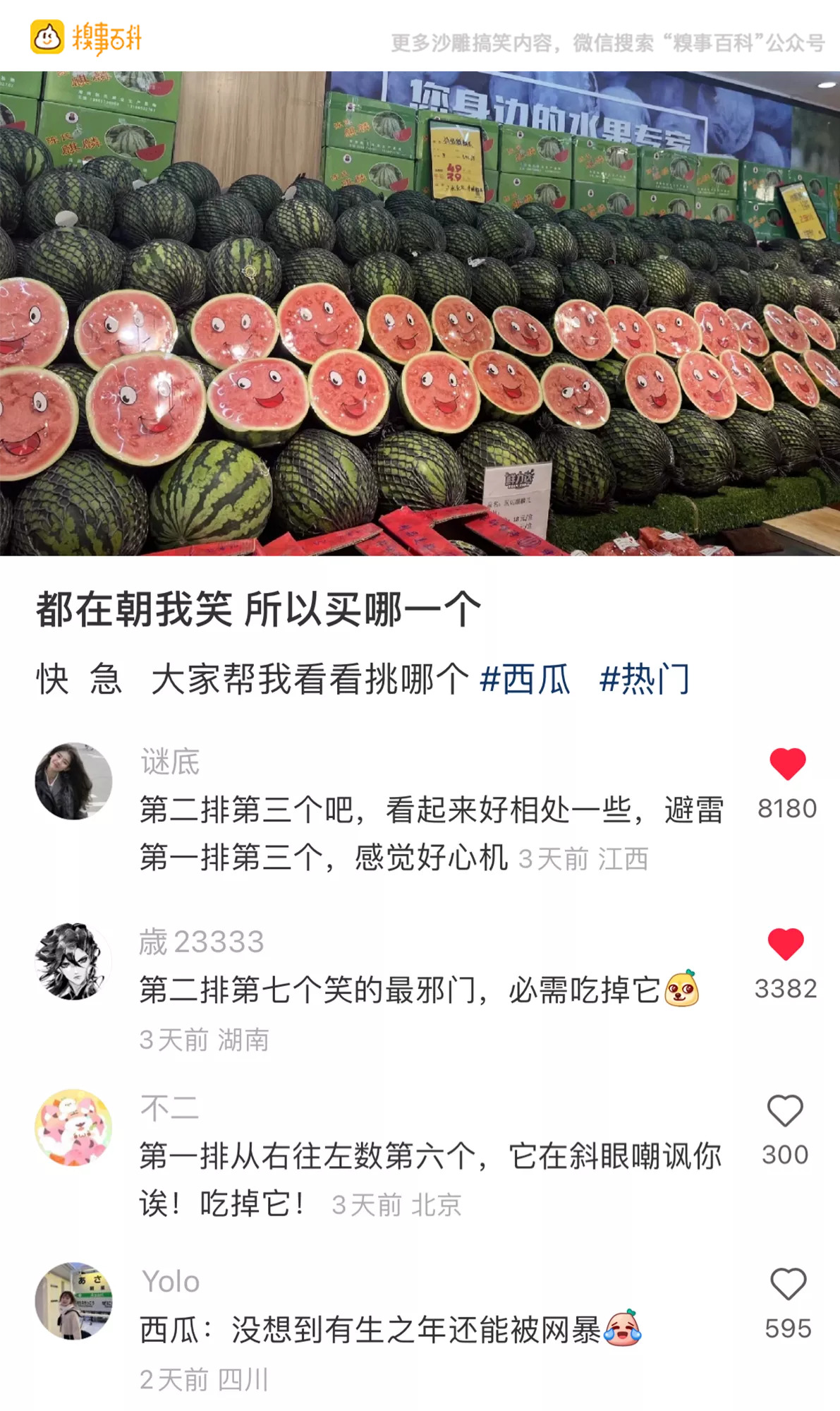 今日🌿图（162）|明日方舟 - 第1张