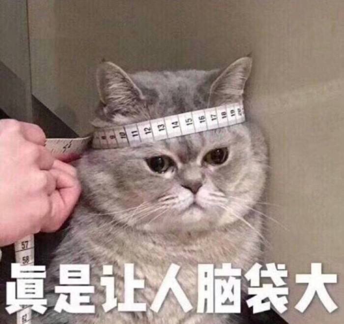 首页 伊洛纳 (elona) 新春活动搞得还真是喜庆,而前面的活动结束我